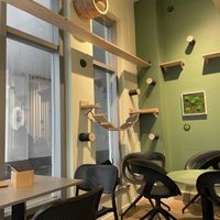 Inside restaurant  at Katzentempel - München in Munich