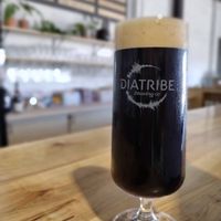 Czech dark lager at Diatribe Brewing Co in Asheville