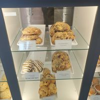  at Allergy Free Bakery in Shelby Charter Township