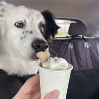 pup cup (not vegan )  at Double O's Coffee in Ocoee