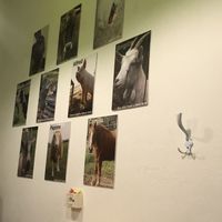 The wall of fame :) at La Vegana in Ferrara