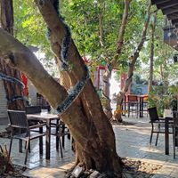 Location at Turtle Lake Brewing Company in Hanoi