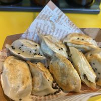 8pcs vegan dumplings 9,99€  at Uncle Wang Dumplings in Rotterdam