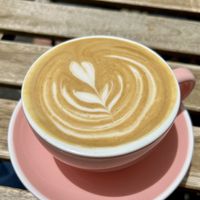   at The Studio in Funchal