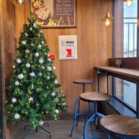 Christmas tree and window seating  at Caffè Nero in Sligo