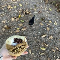 monkey bowl + chicken!  at The Sunrise Shack - Shark Cove  in Haleiwa