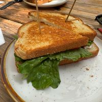 BLT at Cooper's Co-op Cafe in Portland