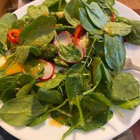 Salad  at Village Farmacy  in Poland
