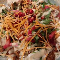 Falafels with tahina at Veggie Lovers  in Paris