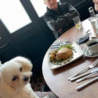 Now dog friendly dining in the bar area - book ahead  at Fighting Cocks in Dartford