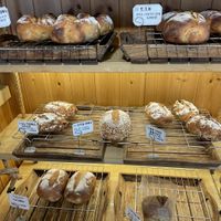   at Healthy Bread in Seoul