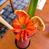  at Rusticco in Isla Mujeres