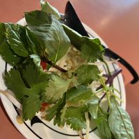   at Vina Restaurant in St Paul