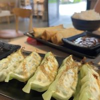 Vegetable gyoza and spring rolls  at Kei Japanese Restaurant in Wolli Creek