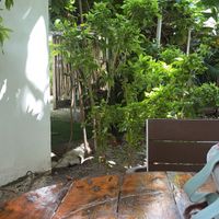   at Riviera Punta Cana in Punta Cana