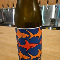 Makgeolli at Ggulggeok House - 꿀꺽하우스 in Busan