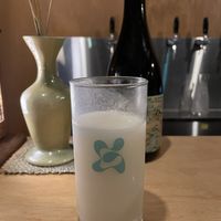 Citrus makgeollii  at Ggulggeok House - 꿀꺽하우스 in Busan