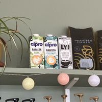   at Snowdrop Coffee Shop in Norwich