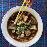 Macaroni-like curly noodle strips in soy sauce broth. Very tasty. Ordered from a photo, not sure what it’s called.   at Vegetarian for Healthy in Chiang Dao