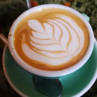 Flat white 😍 at The Salisbury Orangery in Salisbury