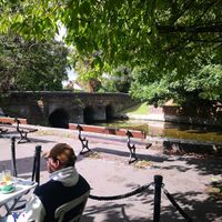 Outside swaying by the river at The Salisbury Orangery in Salisbury