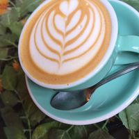 Great latte art at The Salisbury Orangery in Salisbury