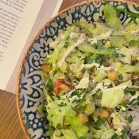   at Electro Camel in Sofia