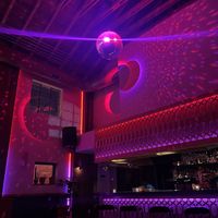 The atmosphere   at Flamingo Cocktail Club in Nashville