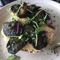 Mushrooms on Hummus and Toast at Wharf Road in Coromandel