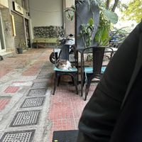   at Veganistan in Athens