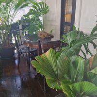  at Vegan Mahanakhon in Bangkok