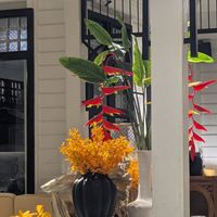 Inside at Vegan Mahanakhon in Bangkok