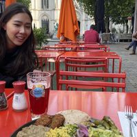 Falafel, hummus, arabic breadd  at L'Ultime Atome in Brussels