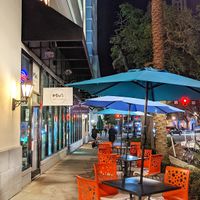  at Mio's Grill & Cafe in St Petersburg