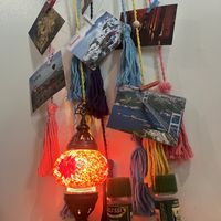   at Mio's Grill & Cafe in St Petersburg