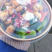  at The Green Goose in Glasgow