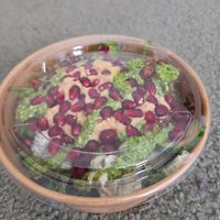 Falafel salad bowl. The pesto and hummus tasted great. Big portions. at The Green Goose in Glasgow