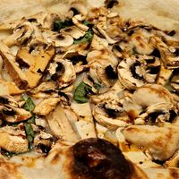  at Meow Pizzeria Verde in Innsbruck