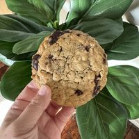Chocolate Chip Tahini Cookie  at Tried and True Confections - Pop Up in Minneapolis