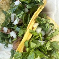   at Fredo's Vegan Tacos in Tamarindo