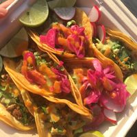 Red chorizo, asada, and Al pastor.  at Fredo's Vegan Tacos in Tamarindo