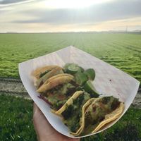 In between Castroville and Moss Landing at the Thistle Hut.  at Fredo's Vegan Tacos in Tamarindo