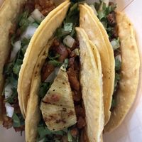 Fantastic !  at Fredo's Vegan Tacos in Tamarindo