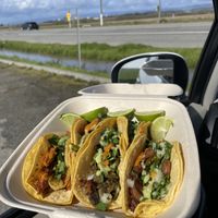   at Fredo's Vegan Tacos in Tamarindo