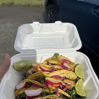 Asada, Al Pastor, and Red Chorizo tacos    at Fredo's Vegan Tacos in Tamarindo
