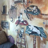  at Mačkafé in Bratislava