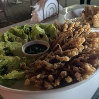 Tree of Lifee  at Replika in Dubai