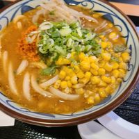 Miso at Marugame Udon - Sawtelle in Los Angeles