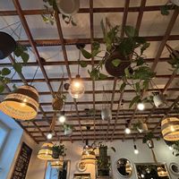 Cozy place with plants  at Moment in Prague