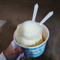 Passionfruit and pineapple at Ecofrost in Puerto Villamil